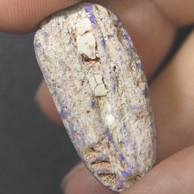 Australian Opal Lightning Ridge Wood Fossil, Polished Specimen Rough 25.05 cts