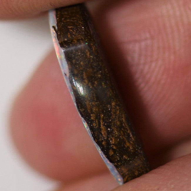5.50 cts Australian Boulder Opal, Cut Loose Stone